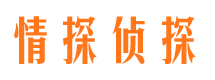 龙安私家调查公司